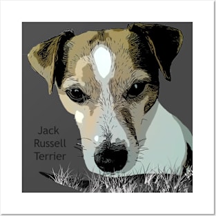 Jake the Jack  Russell Terrier Posters and Art